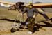 06tim_fly01