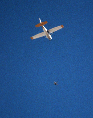 skydive03