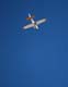 skydive03